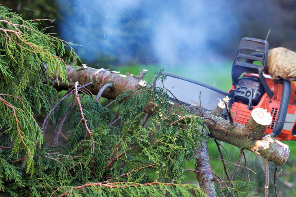 Why Is Your Chainsaw Smoking.jpg